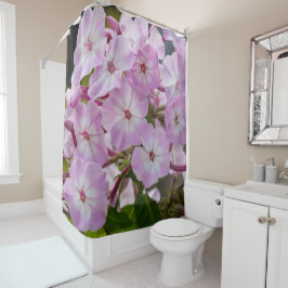 Blommigt Rosa Phlox-foto