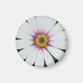 Blommigt - rutnät magnet