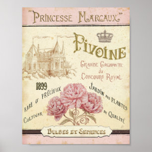 Blommigt Seed Packet Poster