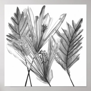 Blommigt Silhouette - Grått Poster