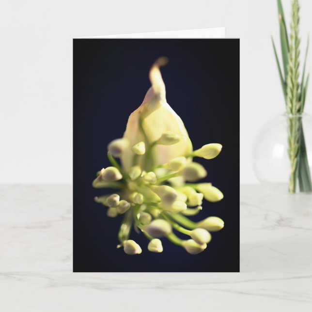 Blommigt Skriv ut vikt tackkort (Framsida)