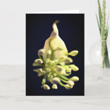 Blommigt Skriv ut vikt tackkort