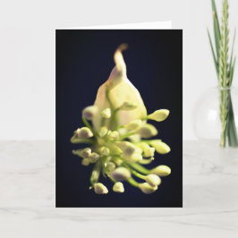 Blommigt Skriv ut vikt tackkort