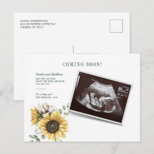 Blommigt Solros Eucalyptus Sonogram Gravid Meddelande Vykort
