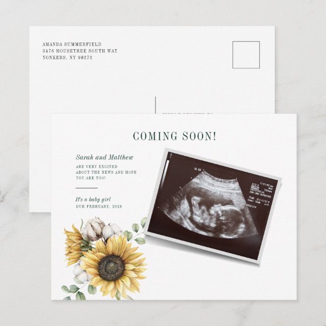 Blommigt Solros Eucalyptus Sonogram Gravid Meddelande Vykort (Fram/baksida)