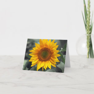 Blommigt Solros Gula blommor - Kärlek, Hej osv. Kort