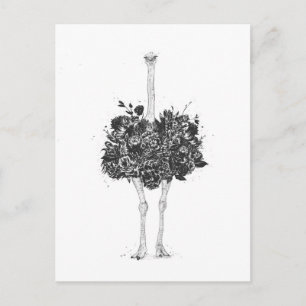 Blommigt strutch vykort