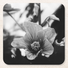 Blommigt, svart och vit fotografi underlägg papper kvadrat