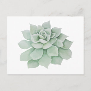 Blommigt Tack Mint Grönt Succulent Cactus Vykort