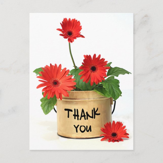 Blommigt Tack Red Gerbera Daisy Flower Postcard Vykort (Framsida)