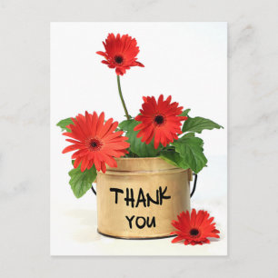 Blommigt Tack Red Gerbera Daisy Flowers Vykort