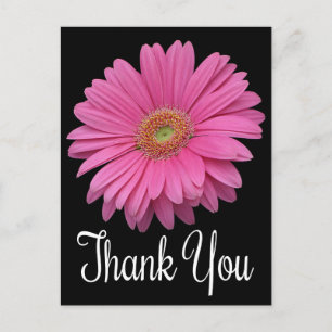Blommigt Tack Rosa Gerbera Daisy Flower Black Vykort