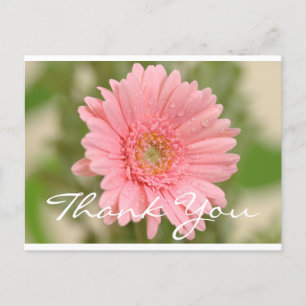 Blommigt Tack Rosa Gerbera Daisy Flower Vykort