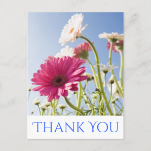 Blommigt Tack Rosa & White Gerbera Daisy Flower Vykort