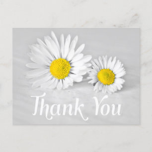 Blommigt Tack Vita Daisy Vita blommor Grått Vykort