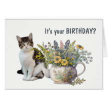 Blommigt Tea Kettle Cat Meowy Birthday