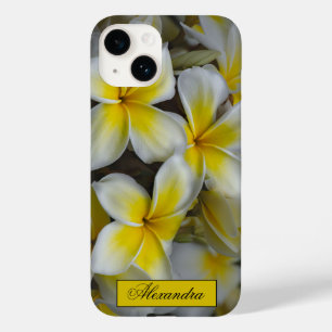 Blommigt Vit Gult Plumeriafoto