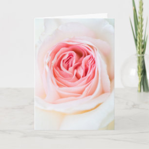 blommigt "VIT ROS FLOWER"-KORT Kort