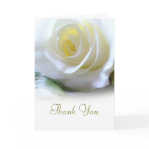 Blommigt Vit ros-sympati eller begravningsplan Tac