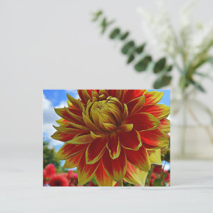 Blommigt Vykort