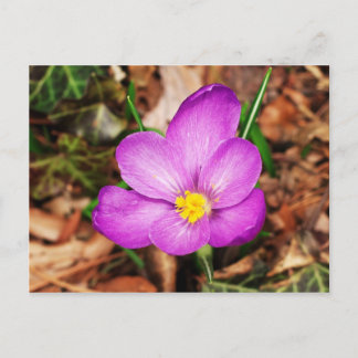 Blommigt vykort
