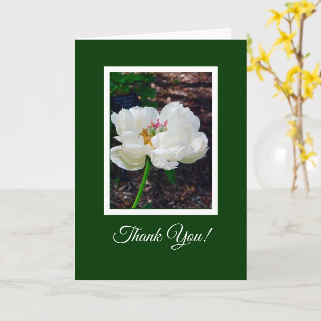 Blommigt/ White Peony/ Tack Kort (Gul blomma)