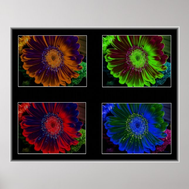 Blommigt Windows Poster (Framsidan)