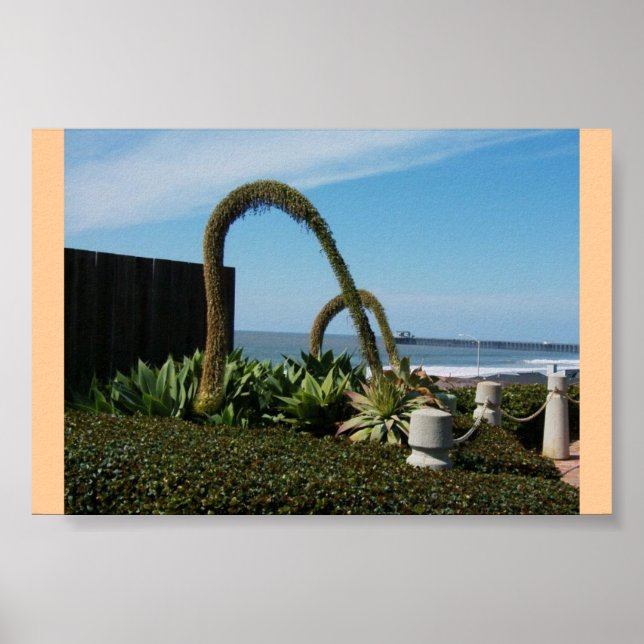 Blommigt Wonders Poster (Framsidan)