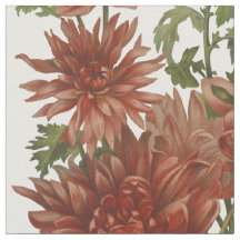 Blommigtar av rödblommor