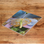Blommigten Blue Poppy Bloom Kakelplatta<br><div class="desc">Keramisk platta med fotobilden av en Himalayan Blue Poppy-blomma. Gör en söt köksbagge!</div>
