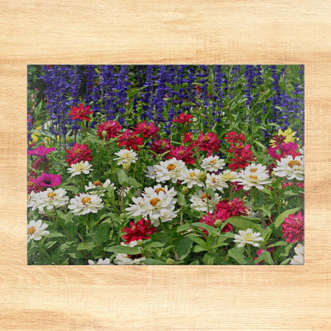 Blommigten Blue Salvia och Zinnia Garden (In Situ)