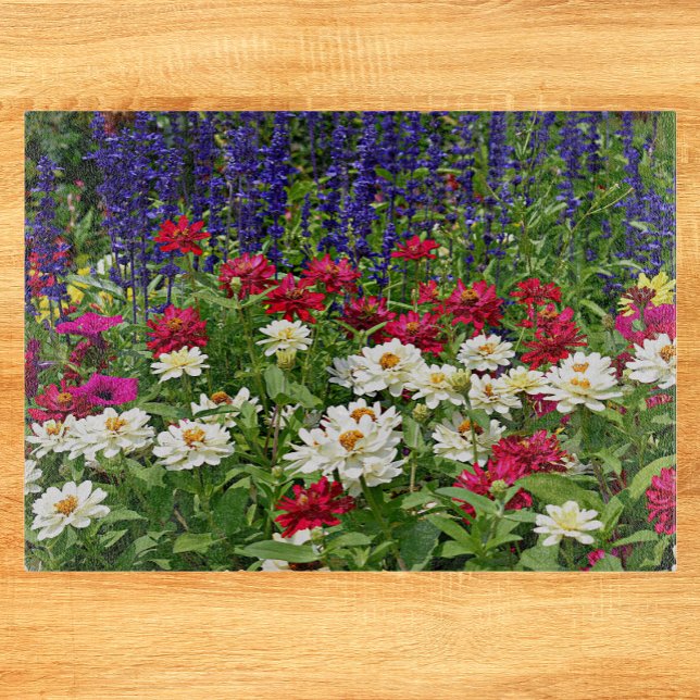 Blommigten Blue Salvia och Zinnia Garden (In Situ)