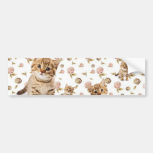 Blommigten Bumper Sticker Cat Kittens Bildekal