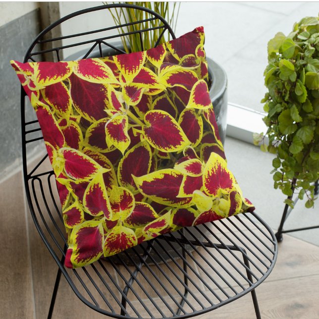 Blommigten Colorful Coleus Lövs Kudde (In Situ Patio)