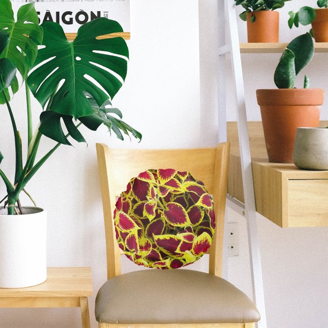 Blommigten Colorful Coleus Plant Lövs  Rund Kudde (In Situ Chair)