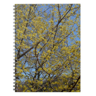 Blommigten Cornelian Cherry Dogwood och Blå himmel Anteckningsbok Med Spiral