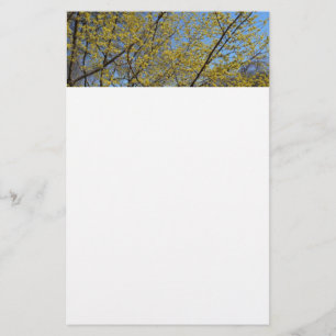 Blommigten Cornelian Cherry Dogwood och Blå himmel Brevpapper