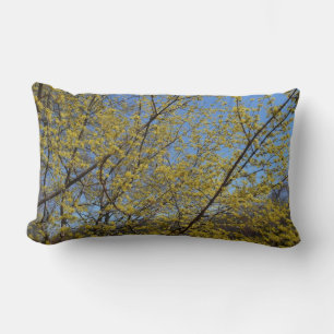 Blommigten Cornelian Cherry Dogwood och Blå himmel Lumbarkudde