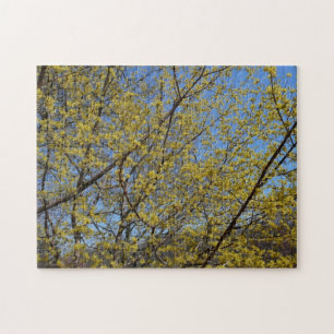 Blommigten Cornelian Cherry Dogwood och Blå himmel Pussel