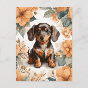 Blommigten Cute Brown Dachshund Puppy Peach Vykort