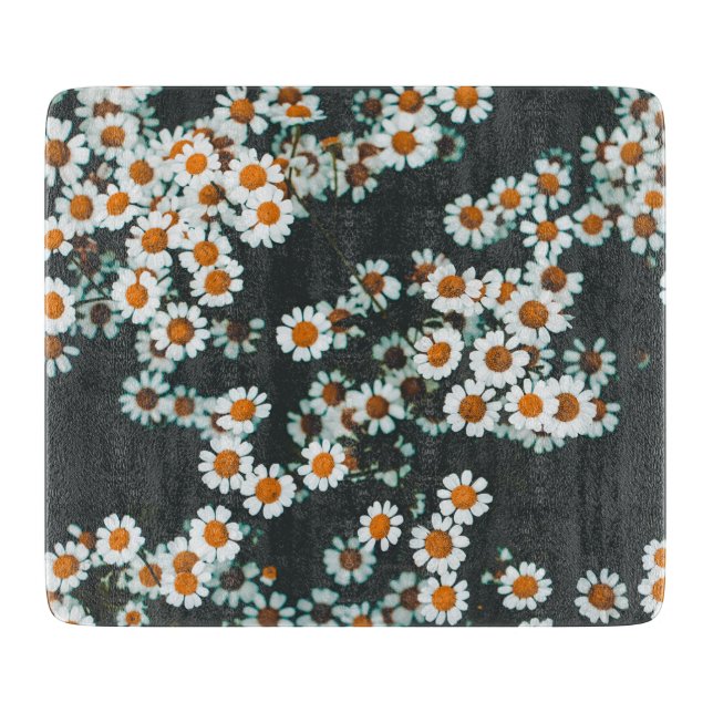 Blommigten Daisy för daisy (Framsidan)