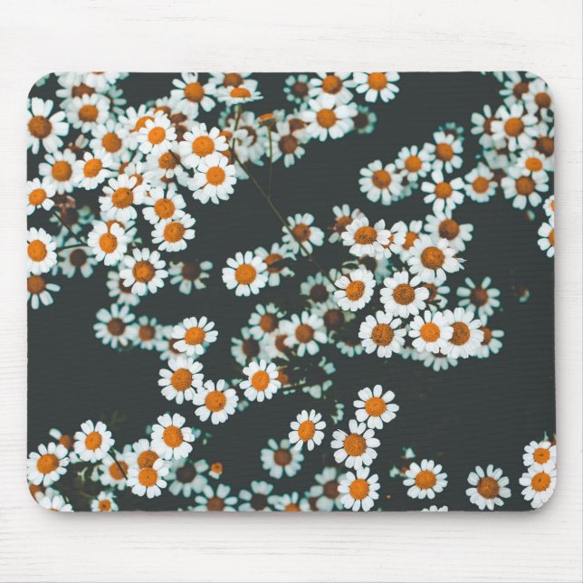 Blommigten Daisy för daisy Musmatta (Framsidan)