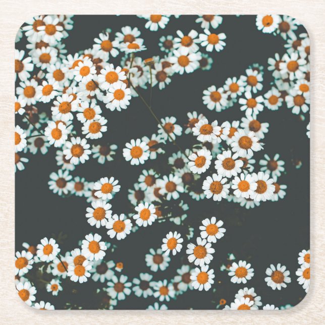 Blommigten Daisy för daisy Underlägg Papper Kvadrat (Framsidan)