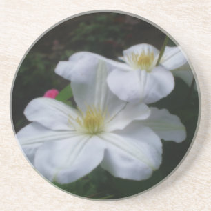 Blommigten dubbla Clematis Underlägg Sandsten