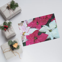 Blommigten Festive Helgdag Poinsettia Plants