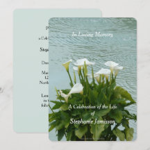 Blommigten firande i Lifinbjudan Calla Lilies