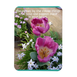 Blommigten Flower för Rosa Tulip Magnet