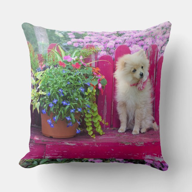 Blommigten Fluffy Pommern Puppy Rustic Garden Kudde (Framsida)