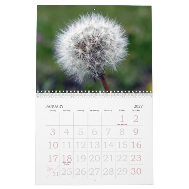 Blommigten för 2008 schweizare ställer ut kalender (Jan 2027)