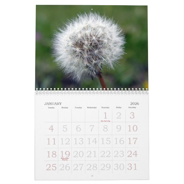 Blommigten för 2008 schweizare ställer ut kalender (Jan 2026)